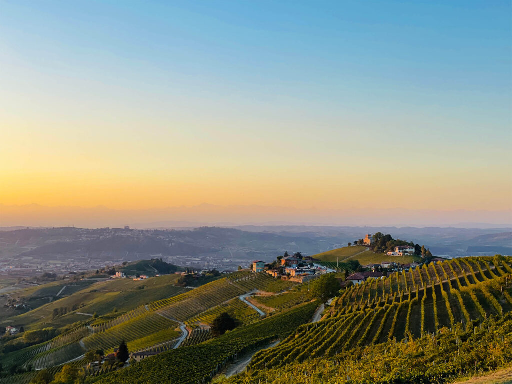 SweedItaly travel and escapes image showing the rolling hills of a wine yard in Piemonte.